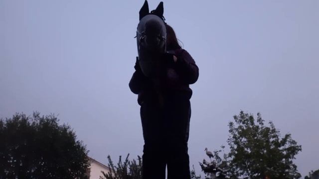 Влог тренировка/хоббихорсинг?/выездка