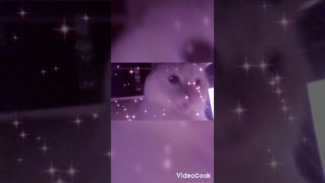 Нася