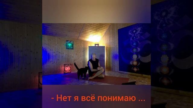 Монолог нормального кота?⬛?#ЙОГиКОШки#ЙОГическиеИстории#ВиртуАЛЬноеОКНОвРеАЛЬность?#ЙОГаРУлит