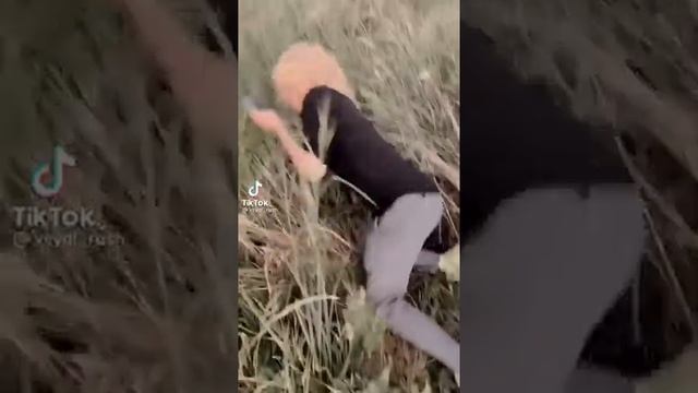 СМЕШНЫЕ ВИДЕО ВЕЙДИ РАШ