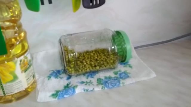 Как прорастить маш в банке.