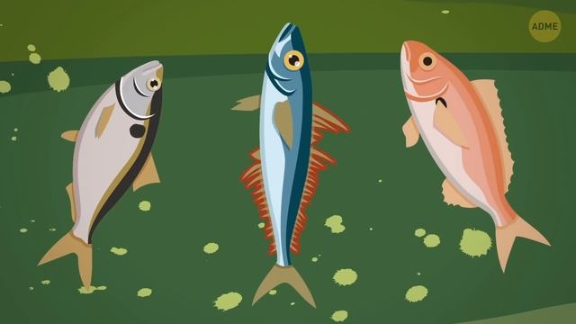 19 загадок, которые не смог разгадать даже истинный мастер