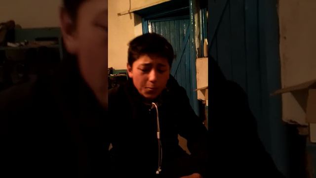 Бека тамга певец