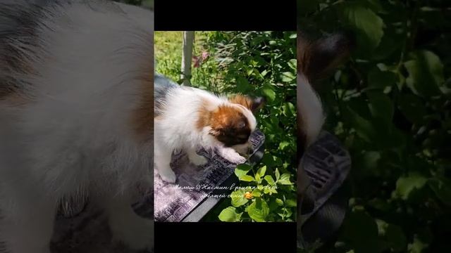 1683269614044.mp4