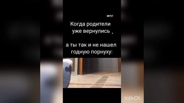 жесть ?