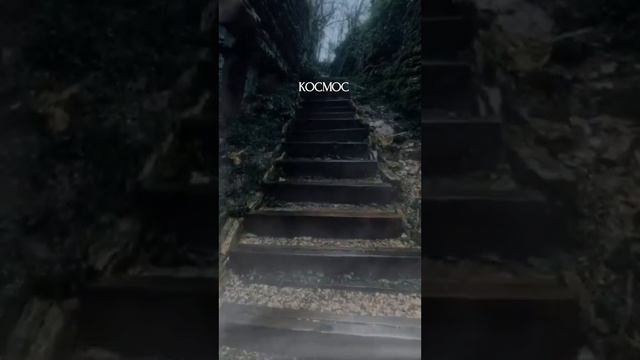 ⚡