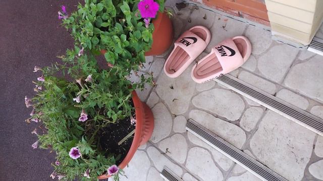 кричим Эдисон топ