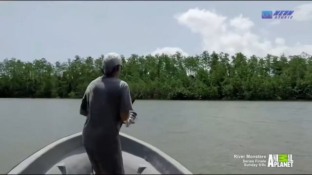 Речные Монстры:"Ужас вулканического острова"(лучшие моменты)