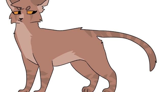 топ 10 котов-воителей, которые мне нравятся, но они не очень популярны! #котывоители  #xomka  #топы