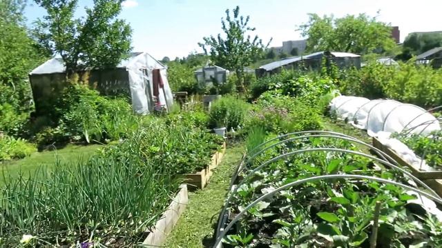 ИЮНЬ 2018 МОЙ САД и ОГОРОД / Garden's tour June 2018