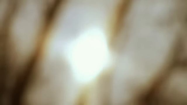 58. Канцлер Ги "Гийом де Ногар