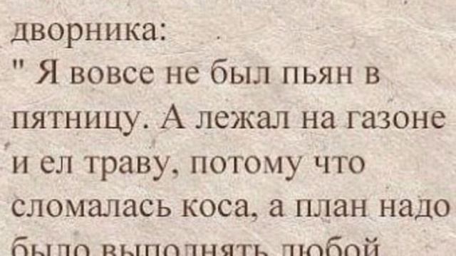 Подборка хорошего Юмора. Часть 28?