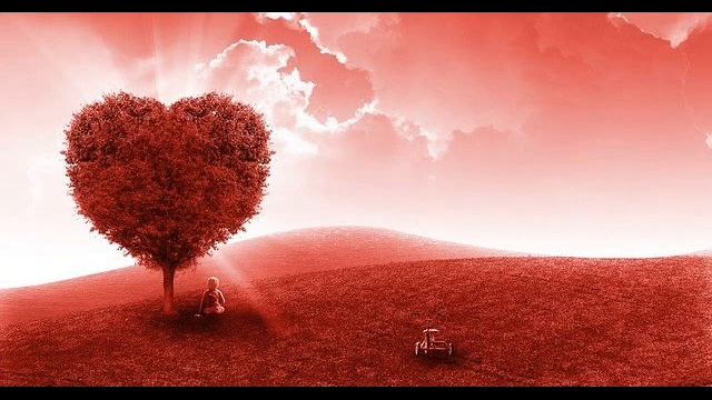 Как начинать исповедь перед батюшкой? С каких слов?