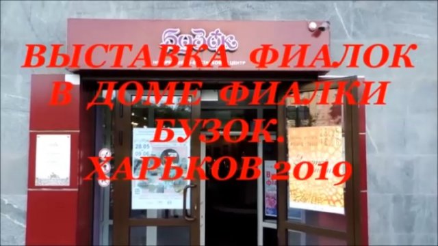 ВЫСТАВКА  ФИАЛОК  В  ДОМЕ  ФИАЛОК  " БУЗОК  ". ХАРЬКОВ  2019.  КОМНАТНОЕ  РАСТЕНИЕ  ФИАЛКА.