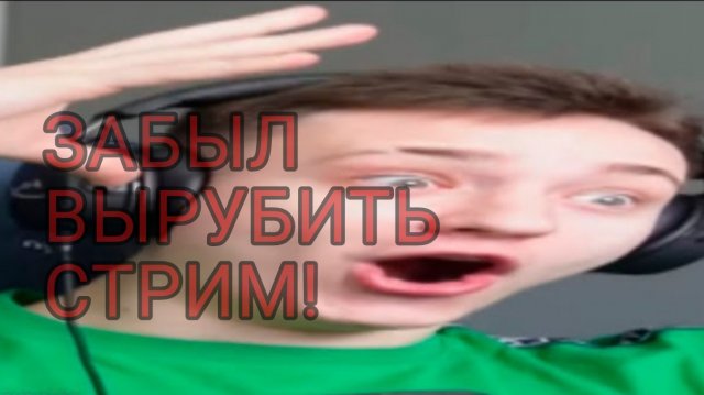 ДОМЕР ЗАБЫЛ ВЫРУБИТЬ СТРИМ!