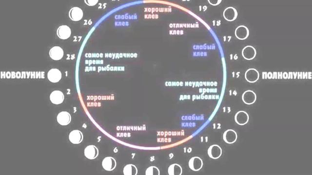 В какую фазу луны лучше всего идти на рыбалку и как это влияет на клёв?