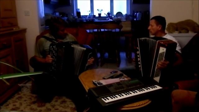 Баянисты в Ирландии
