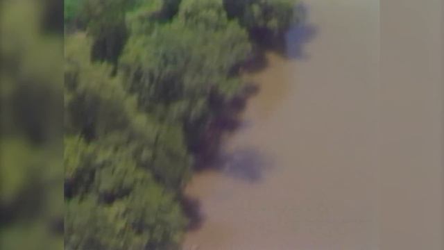 'Pattern of a Killer: The Trial of Wayne Williams'