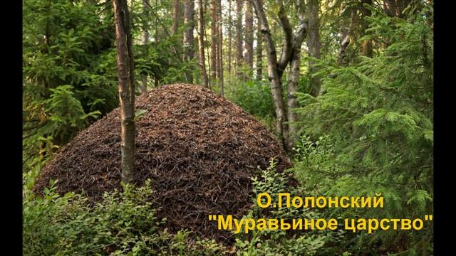 О. Полонский "Муравьиное царство"