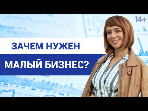 Особенности, Ограничения и Поддержка малого бизнеса // Малый бизнес в России /14+