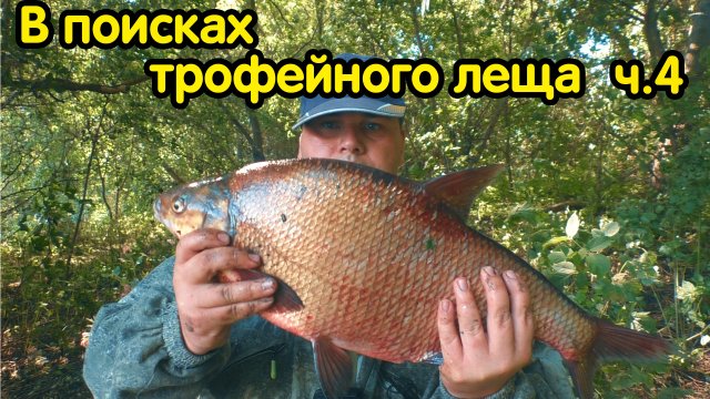 КРУПНЫЙ ЛЕЩ на фидер!!! Таких огромных лещей еще не ловил!!! Фидер на реке
