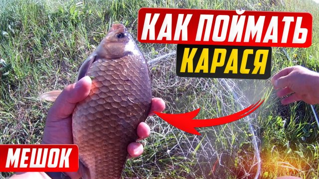 Нашел дикое озеро и наловил мешок ЗОЛОТЫХ КАРАСЕЙ