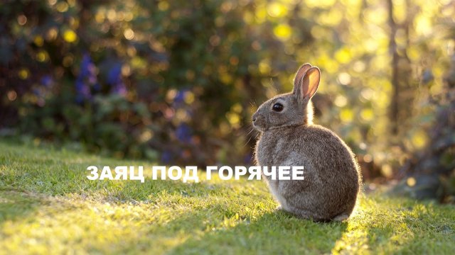 Подарки своими руками. (2022г)