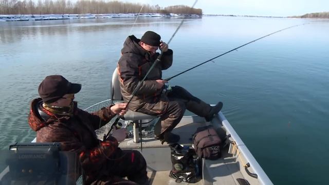 От штрафа за НЕЁ можно офигеть. Нельма на спиннинг весной.Рыбалка на спиннинг