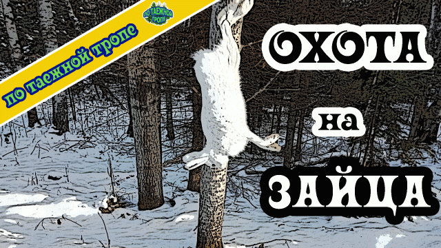 Охота на зайца петлями