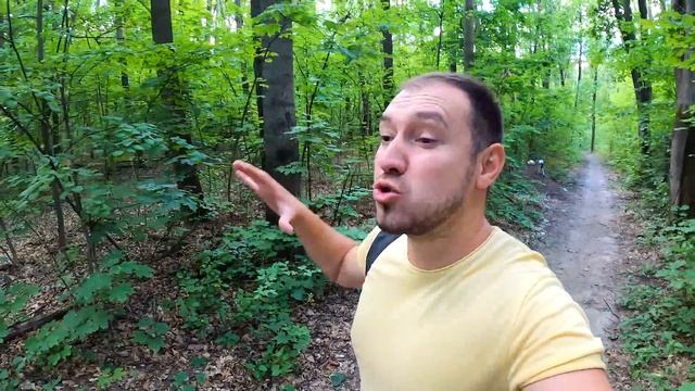 Муравьи съели Курицу / Муравьиная ферма разбежалась по дому / у хасмут новые питомцы