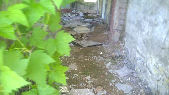 Приключения Сережи и Полины на даче (Часть 1)
