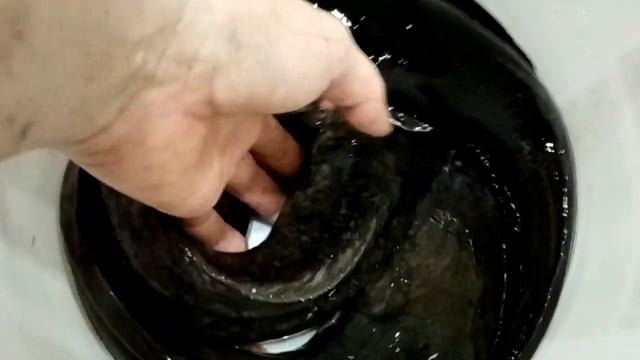 Клариевый сом 6 месяцев в самодельной автоматической УЗВ