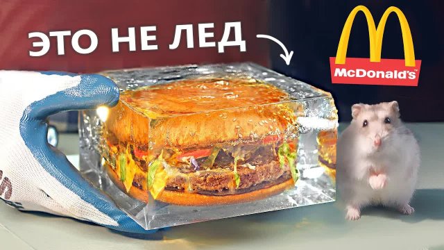 КАК СОХРАНИТЬ БУРГЕР НА 1 ГОД
