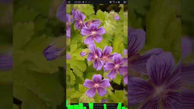 video20240416_234813_863.mp4