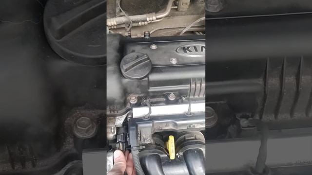 из-за чего дизилит двигатель Киа Рио 3