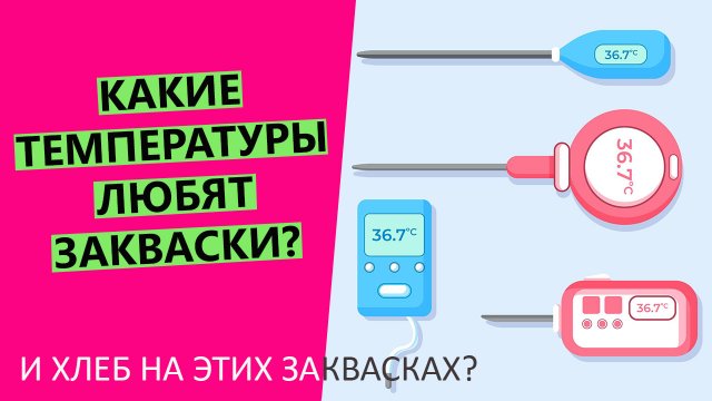 Какие температуры?? любят закваски? При какой температуре вести заквасочное тесто?