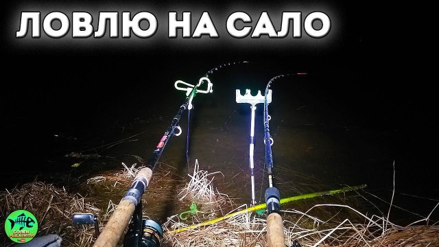 ОБАЛДЕЛ от результата. На САЛО реально клюет. РЫБАЛКА С НОЧЕВКОЙ. Рыбалка на фидер