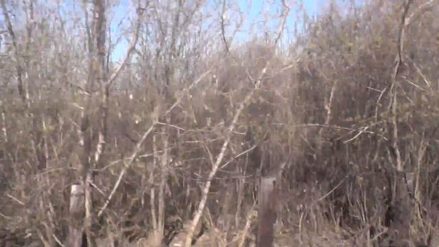 Прибытие на станцию Ульяновск-Центральный