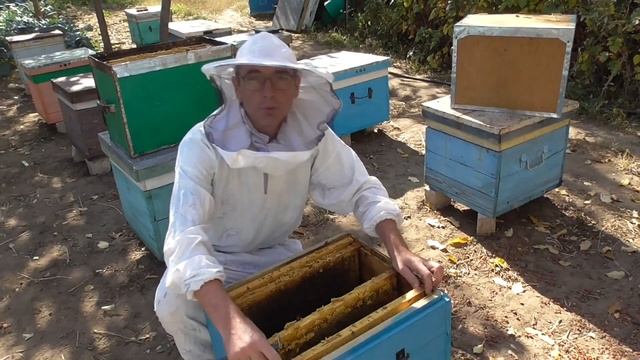 Как собрать гнездо пчел в десятирамочном улье на зиму