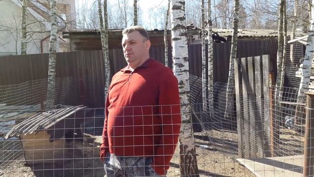 Ямное содержание кроликов