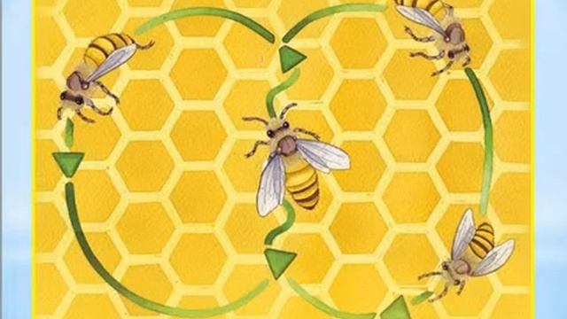 Мухаметшина К И Путешествие в мир насекомых