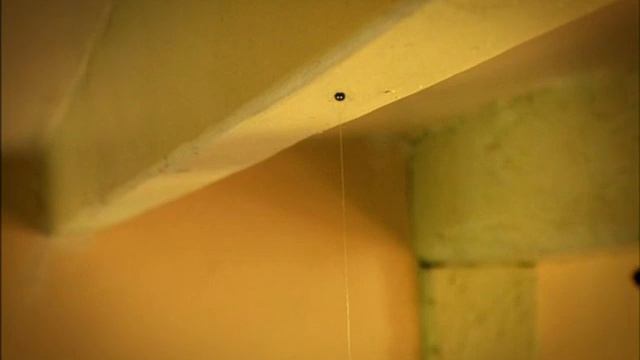 Букашки 2007 - 78 серий, без титров,  без заставки (Minuscule, No credits, intro, opening) HD