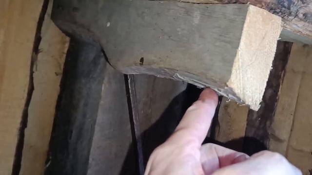 КАК РАЗБАВИТЬ БЕНЗИН С МАСЛОМ ДЛЯ СНЕГОХОДА БУРАН. Будни Олега.