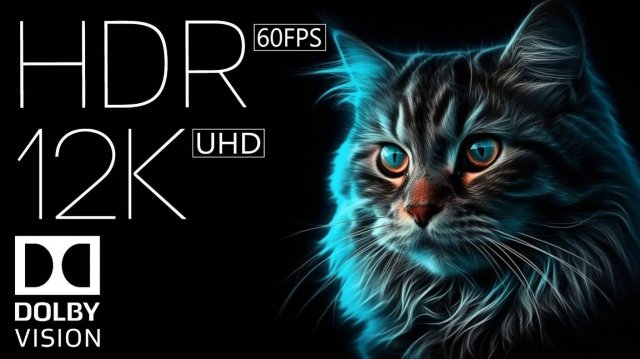 Красочное Видео 12K HDR 60fps Dolby Vision