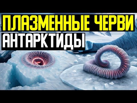 ✅ Полярники рассказывают о стражах у края Земли