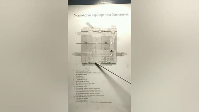 Устройство и принцип работы карбюратора бензопилы (теория и практика)