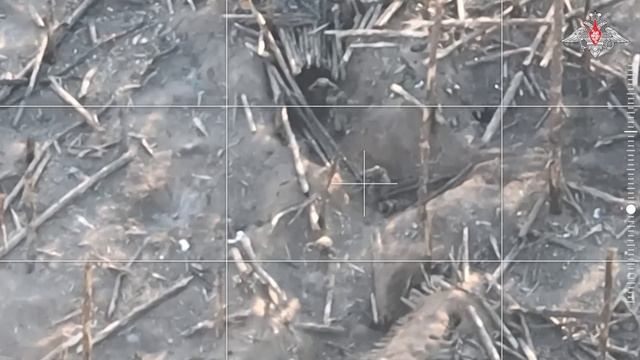 Боевая работа штурмовых групп ВДВ в зоне СВО