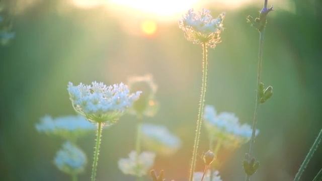 Best of Beegie Adair - Jazz Romance.mp4