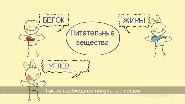 Урок здоровья.