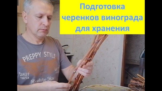 Как сохранить виноградные черенки до весны???